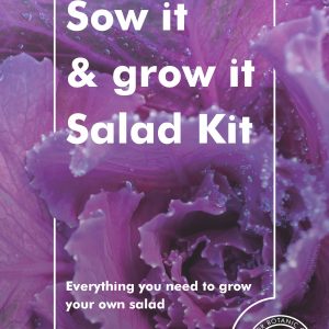 Sow it and Grow it Oriental Salad Kit