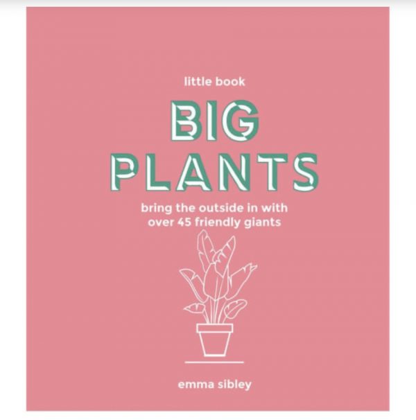 The Little Book Big Plants