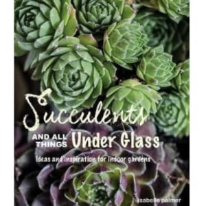 Succulents And All Things Under Glass